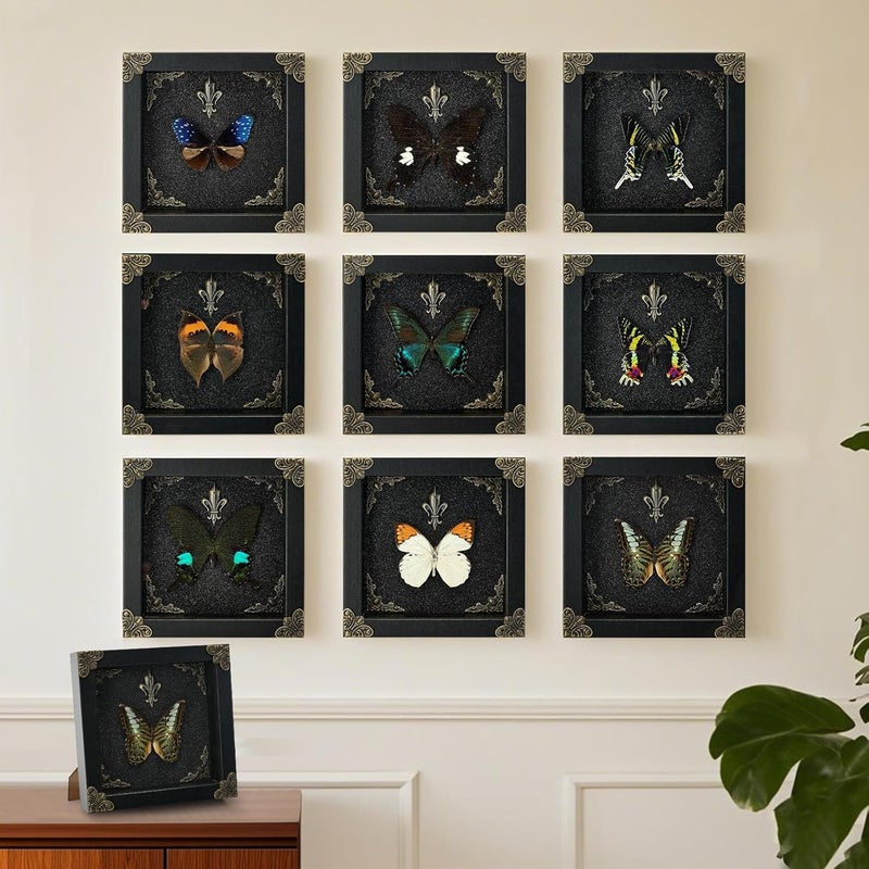 GDBEH Real Butterfly Framed Handmade - Taxidermy Butterfly Shadow Box - Real Framed Butterflies in a Box for Gothic Home Decor Aesthetic. (Green Beautiful Butterfly) - Image 5